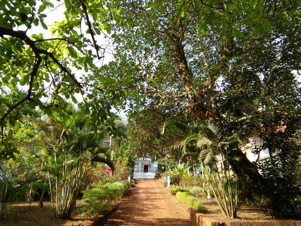 Botanique Goa Guest house